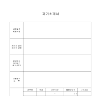 자기소개서(경력) 자기소개서(경력)